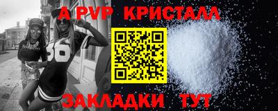 стаф Новоалександровск
