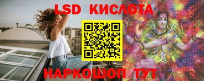 стаф Новоалександровск