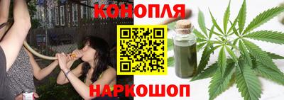 стаф Новоалександровск