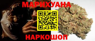 стаф Новоалександровск