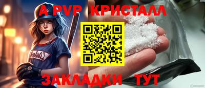 стаф Новоалександровск