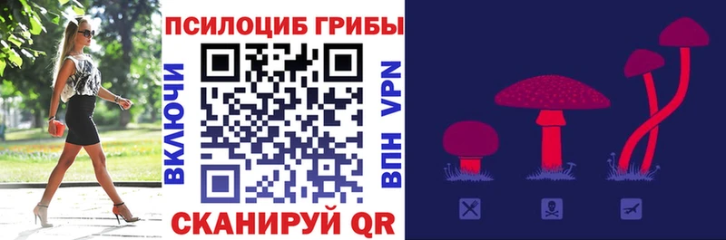 Псилоцибиновые грибы Psilocybine cubensis  магазин продажи   Маркс 